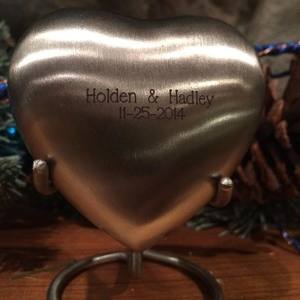 Team Page: Holden and Hadley Westby